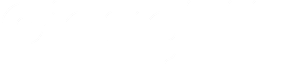 Insightt logo